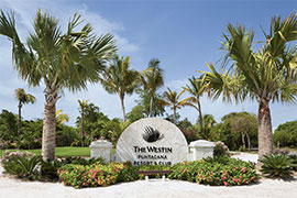 Westin Punta Cana Resort and Club